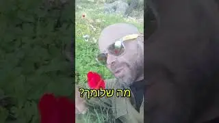 אהוד עזריאל מאיר פוגש את פרח ופרח עונה לו | איכזשתכזאת פרח?
