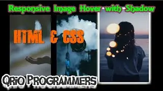 Responsive Image Hover Effect with Shadow || Image Hover Effect || Responsive || Qrio Programmers