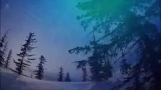 SHERBET / 水