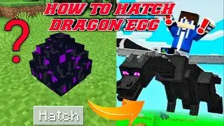 How to hatch ender Dragon egg in Minecraft