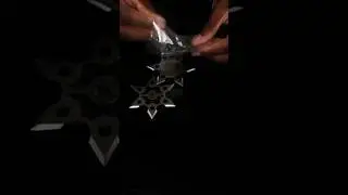 First Look At The Throwing Ninja Stars #martialarts #ninjastars #firstlook #viralclips