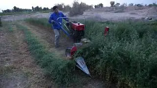 alfalfa cutting reaper machine (  doulbe layer divider)