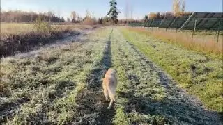 Прекрасная погода!