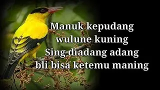 Lirik Lagu | Manuk Kepudang
