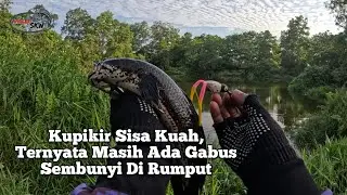 Mancing Haruan Sisa-Sisa Pemancing