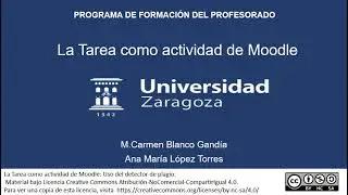 16. Evaluar una tarea: detector de plagio