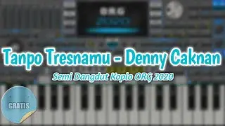 SET Tanpo Tresnamu - Denny Caknan ] Non Vocal ORG 2020 VIP Sofeh Sunrise SET GRATIS