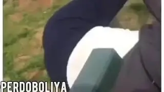 Смех свинофермы!