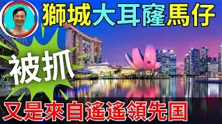 泱泱大國人星囯犯案被抓！大耳窿禍害很深。