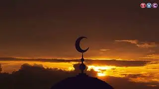 The Golden Lessons of Imam Hussain's Martyrdom