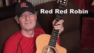 When the Red, Red Robin (Comes Bob, Bob, Bobbin' Along) Guitar Solo
