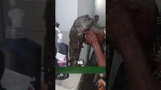 Впервые в жизни помыла голову!