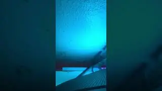 IT WAS BEHIND MY COMPUTER! #shorts #shortsvideo #frog #gaming #gamingpc #funny #trending #spooky