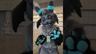 Anthrocon Pokemon Meet! #furry #furries #furrys #fursuit #pokemon #pokemoncommunity #cosplay