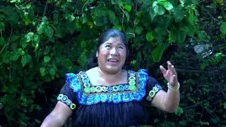 MARTINA FUENTES # CUANDO TERMINE MI CARRERA