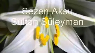 Sezen Aksu - Sultan Süleyman - http://www.cicekmerkezi.com