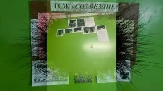 МЕСТЬ