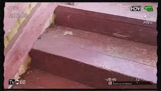 исследую заброшку