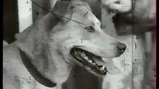 Шпионские страсти 1982