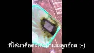 Lifeproof Case for iPhone 4/4S V.S. Dirty Pond