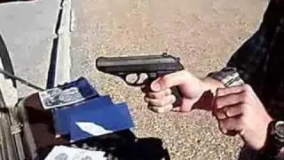 Sig vs Bersa - A Detailed Review