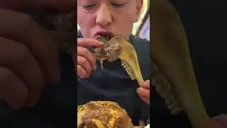 MAKAN kepala kambing#shorts