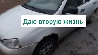 даю вторую жизнь калине.восстановление.