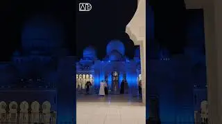 Abu Dhabi 🇦🇪 United Arab Emirates #travel #abudhabi #оаэ #мечеть