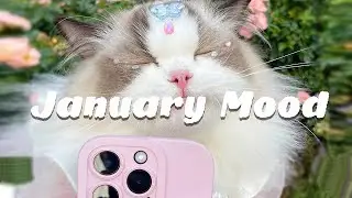 [Playlist] January 2024 ~ songs mood feel good