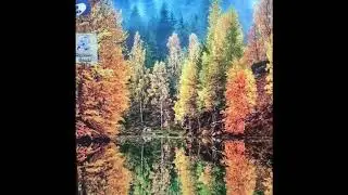 Что будет если удалить корзину в корзину
