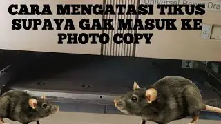 cara mengatasi tikus supaya gak masuk ke dalam photo copy