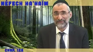 Les âmes dans le corps de l'Homme - Livre Néfech Ha'Haïm - Chap. 12 (P21) - Rav Ron Chaya