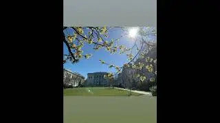 April 2024 - Spring at Harvard University - Harvard Medical School