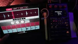 SP 404 MK2 and Koala App || 2022 Ultimate Beat maker combo!!!!