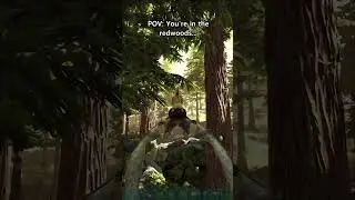 POV: You're In The Redwoods... #shorts