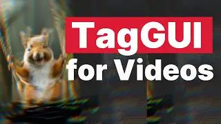 TagGUI Video - Make captions for Wan LoRA training