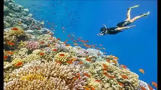 Explore Egypt With Exclusive Tour Packages