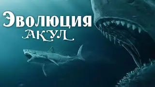 Эволюция акул | Познавательное видео