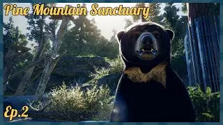 Sun Bear Ridge | Pine Mountain Sanctuary | Planet Zoo Speed Build | Special Guest SimplySavannah