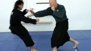 Fudo ken, gyaku tsuki, cross punch, basic - Ninjutsu technique for Akban wiki