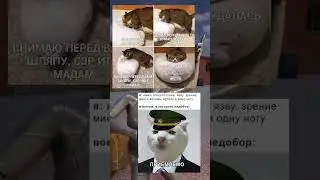 #мем #мемасы #кот #котики #меме #мемы2023 #пжврекомендации #коты #мемас #мемы_тикток #котыприколы