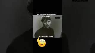 Может ли человек назвать черное белым? Социальный эксперимент.