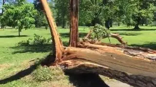 Wind  Storm Damage, Richmond VA, 6/18/16, Byrd Park [HD]