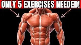 The Only 5 Exercises Men Need to Build Muscles