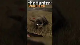 Absolutely Smoked Em! | Moose Brainshot 🎯