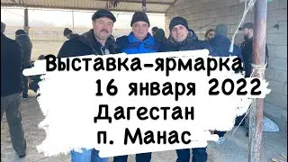 Выставка-ярмарка  голубей в Дагестане п.Манас. 