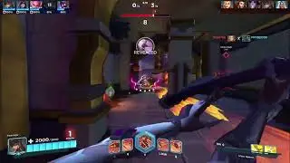 I live for this - Paladins