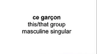 French Demonstrative Pronouns