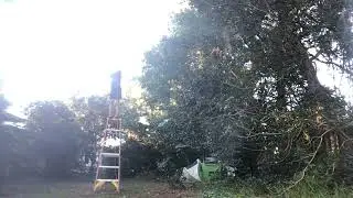Really high rope swing