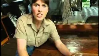 Crocodile Hunter für Kids « Ärger auf Hufen » | Folge 6 | [1/2] |